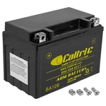 Caltric Agm Battery For Yamaha T-max Tmax XP500F XP500G 2015-2016 / 12V 10AH New. Price: $40.00.