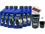 Cyclemax 10W30 Marine Oil Change Kit W/ Filter Fits 2011-2024 Yamaha F200 Engine New. Price: $105.56.