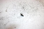 1992 Yamaha Waverunner Oem Seat Stopper EU0-63729-03-00 JY10 Used. Price: $9.99.