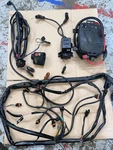Sea Doo Gsx Rfi 787 800 Rear Electrical Box Solenoid Ignition Coils Start Used. Price: $159.99.
