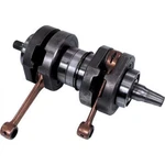 010-1019-01WSM Crankshaft Assembly 0921-0228 43-101901 New. Price: $688.46.