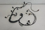 2009-2017 Sea-doo Oem Engine Wiring Harness Ass'y Wake Pro Rxt-x Gtx Gtr Gts Gti Used. Price: $324.97.