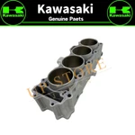 Kawasaki Genuine Engine Cylinder 11005-0630 New. Price: $1210.85.