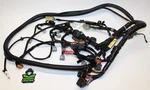 2011 2012 Yamaha Vxr Vxs Oem Main Electrical Wire Harness Loom 6CN-8259L-00-00 Used. Price: $555.55.
