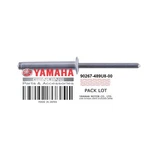 90267-489U8-00 Rivet Blind New. Price: $6.99.