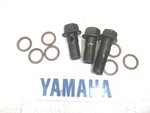 Yamaha Rr Oil Bolts Shown & Washers 1992 Used. Price: $11.77.