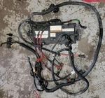 Yamaha Main Wire Wiring Harness Ignition Coils 2005 Used. Price: $239.99.