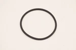 Aftermarket 420430405, P420430405 Ring Nos New. Price: $9.95.