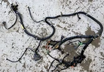Yamaha 08-10 Cruiser 1.8L Wire Wiring Harness 6S5-8259L-01-00 Used. Price: $499.99.