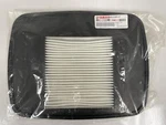 New Oem Yamaha 2008+ Air Filter Cleaner Element 6S5-E4451-00-00 6S5-E4451-01-00. Price: $179.99.