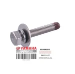 90119-069UX-00 Bolt With Washer New. Price: $7.99.