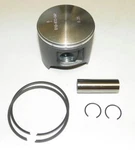 Platinum Piston Kit 1996-2004 .25MM Polaris 700 1050 Virage Freedom Slh New. Price: $72.19.