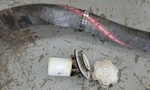 Yamaha Fuel Gas Oil Cap Lid Screw Filler Neck Cover Hose All Used. Price: $49.99.