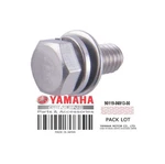90119-06913-00 Bolt W/washer New. Price: $5.99.