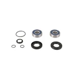 Balls Jet Pump Rebuild Kit 14-3025 New. Price: $67.31.