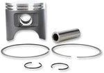 Wsm Piston Kit 010-843-07K New. Price: $82.22.