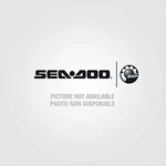 Oem Sea-doo Catalyst Assembly 274001720 New. Price: $2500.00.
