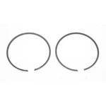 Wsm Rings For Polaris 1200 .25MM 010-935-04 New. Price: $26.43.