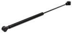 Sea-dog Gas Filled Lift Spring 20" 90# New. Price: $29.99.