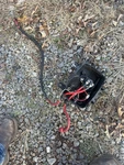 Seadoo Gtx Gsx Rx Gti Lrv 951 Di 787 800 Rfi Rear Electrical E-box Unown For. Price: $20.00.