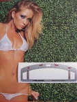 + Trim Polaris Mfd Multi Function Display Replacement Decal Slt Slh Slx Gauge New. Price: $14.75.