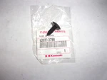 Oem Kawasaki Jet Ski Ultra JT1500 '07-'17 Rivet 92039-3788 New. Price: $6.20.
