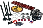 10-13 Yamaha Kibblewhite Intake & Exhaust Valves Titanium Springs New. Price: $289.88.