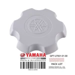GP7-U7831-01-00 Cap Fuel Filler Wh New. Price: $36.99.