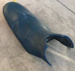 2000-2004 Seadoo Bombardier Rxp Main Seat 269000578 269001099 269000703 Used. Price: $99.00.