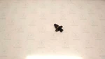 2018-26 Sea-doo Gtx Gti Rxp Wake Fish Pro Gtr Rxt Oem Hull Drain 292002766 Used. Price: $19.95.