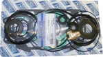 Wsm Complete Gasket Kit - Engine New. Price: $74.46.