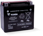 Yuasa YTX20-BS Maintenance Free Agm For 12-VOLT Battery YUAM32RBS New. Price: $119.99.