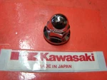 Nos Genuine Kawasaki 1987-2000 VN1500 1995-1999 ZX1100 Nut 10MM 92015-1649 Oem New. Price: $6.97.