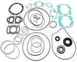 Doo 580 587 Complete Engine Rebuild Gasket Seal Kit Spi Gts 1992-1996 New. Price: $59.95.