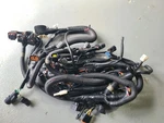 2015 Yamaha Main Wiring Harness Cruiser Delux VX110 6EX-8259L-A0-00 Used. Price: $350.00.
