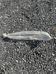 Yamaha Gunwale, Stern F1K-U251E-01-00 Oem New Right Side. Price: $90.00.