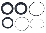 Polaris Front Differential Seal Kit Sportsman Scrambler Hawkeye 2006 - 2024 New. Price: $23.00.