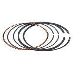 Piston Ring 0.25MM Over 74.25MM Spark 2UP 3UP Trixx 900 Ace 420892824 New. Price: $115.51.