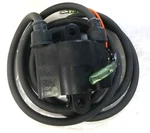 New Oem Arctic Cat Tigershark Ignition Coil. 3008-170 ( 3008-128) Artic Remanufactured. Price: $136.47.