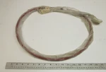 EW3-61481-00 Steering Cable Yamaha Waverunner Engines Nla New. Price: $159.99.
