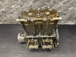 Oem Tigershark 770 Complete Engine Motor Daytona Monte Carlo Ts Nice Running! Used. Price: $719.99.