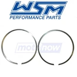 Wsm 010-919-06 Set For Engine Pistons Lx New. Price: $33.08.
