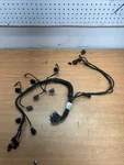 2020 Rxtx 300 Engine Wiring Harness 420964084 Rxpx Used. Price: $199.99.
